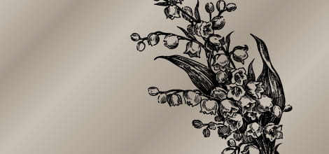 Complaint from the family of a diseased patient image